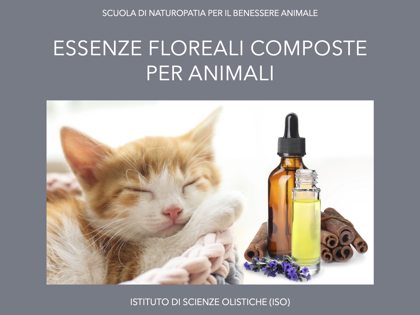 Essenze floreali per animali composti