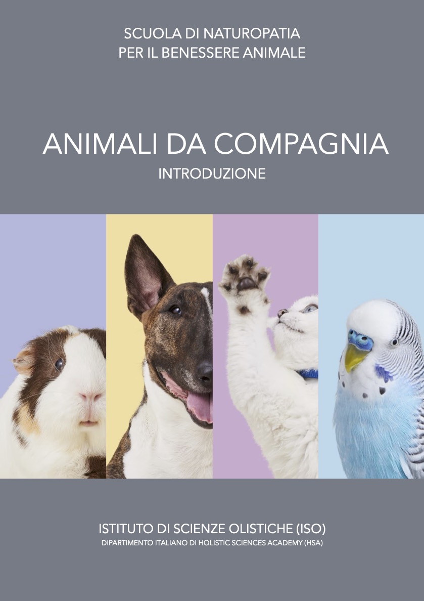 Animali da compagnia