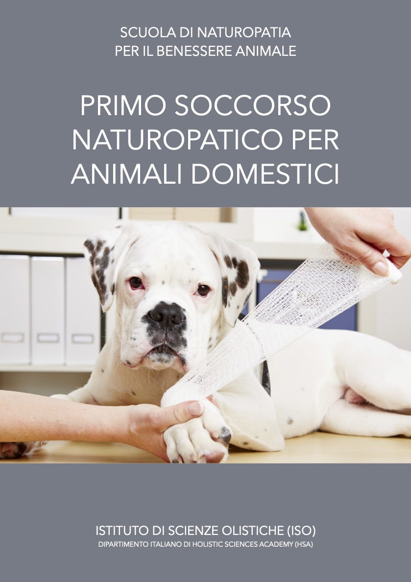 Primo soccorso per animali domestici