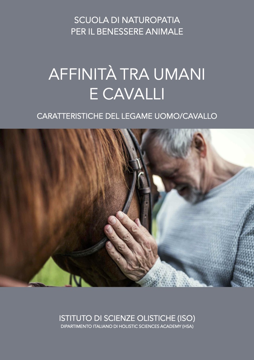 Affinità tra umani e cavalli