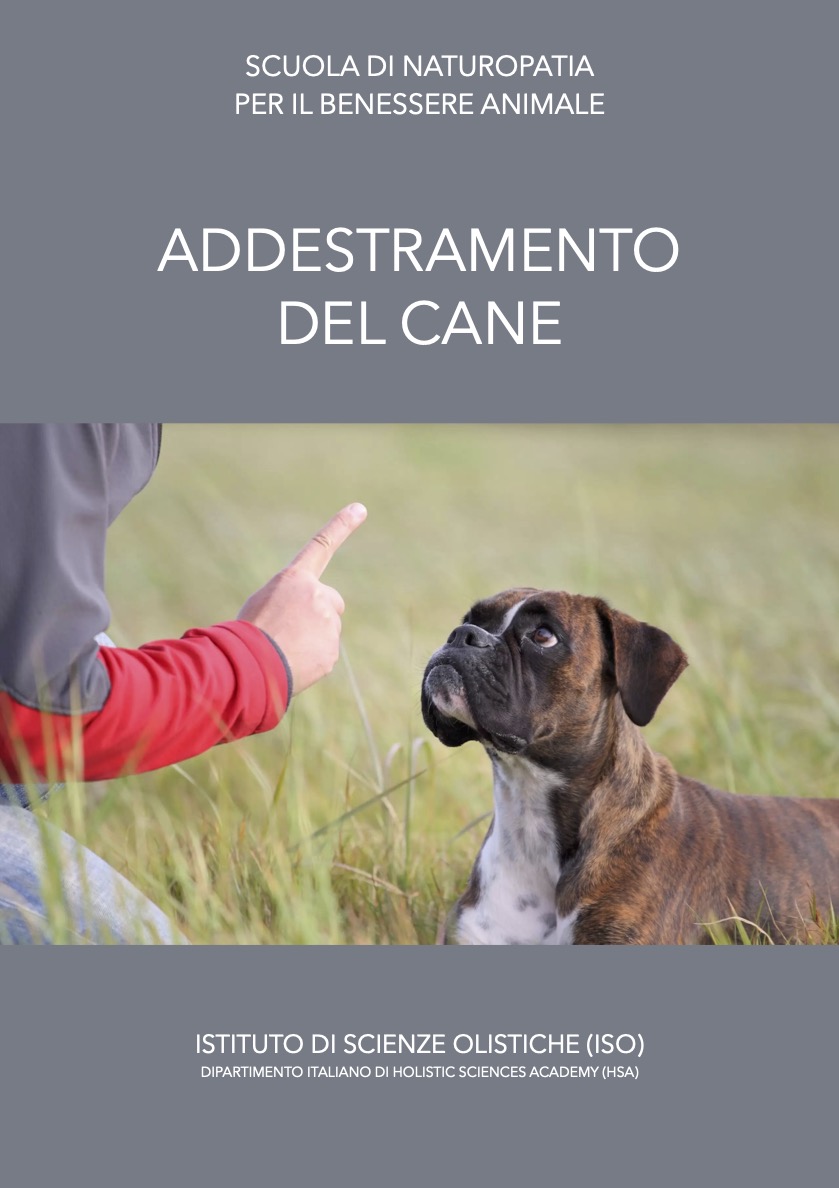 Addestramento del cane