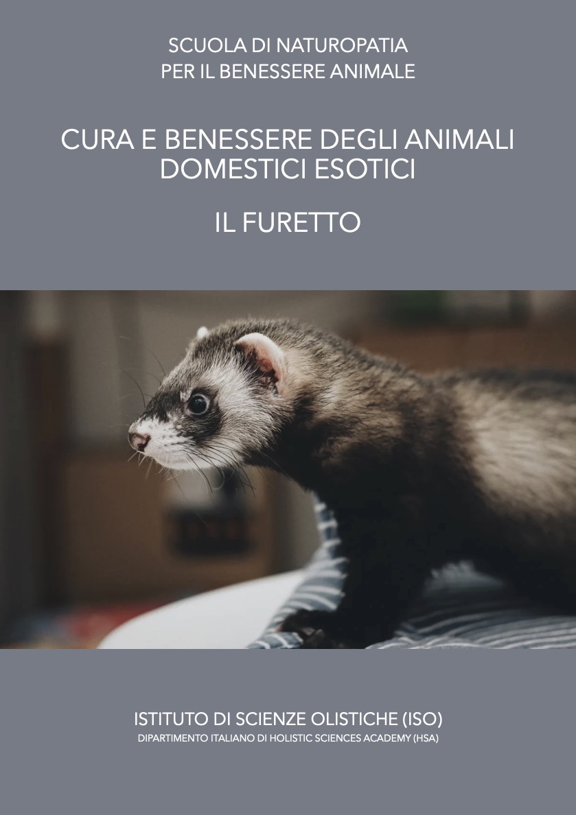 furetti